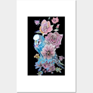 Budgie Watercolor Blue and Roses Painting on Black Posters and Art